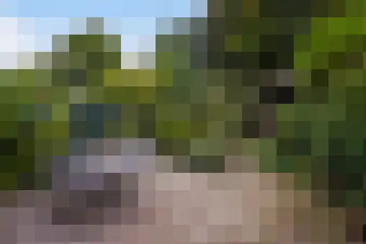 Van Boetzelaerlaan 55 Den Haag thumbnail 19
