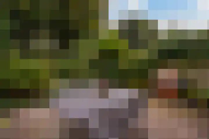 Van Boetzelaerlaan 55 Den Haag thumbnail 21