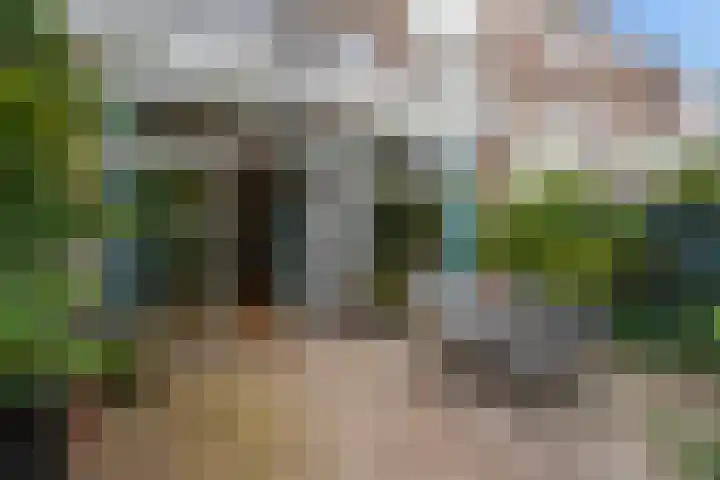 Van Boetzelaerlaan 55 Den Haag thumbnail 27