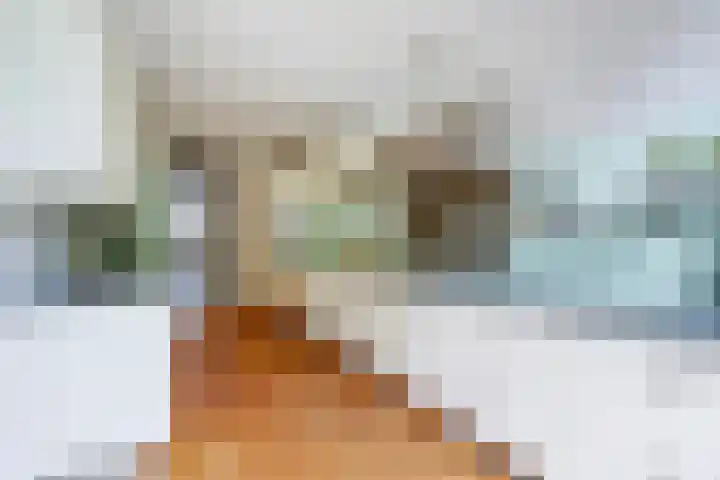 Van Boetzelaerlaan 55 Den Haag thumbnail 33