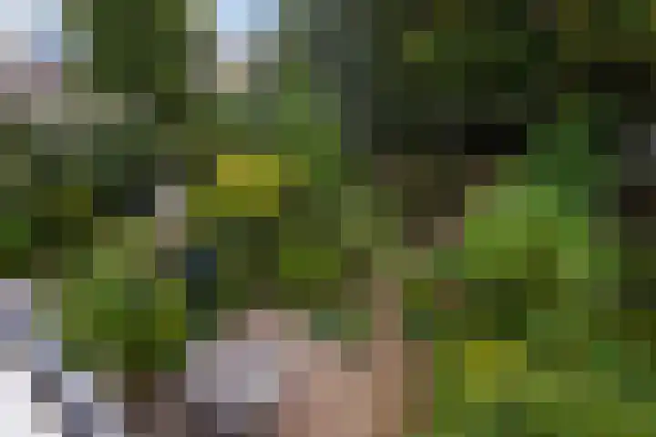 Van Boetzelaerlaan 55 Den Haag thumbnail 41
