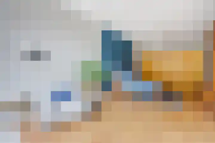 Van Boetzelaerlaan 55 Den Haag thumbnail 44