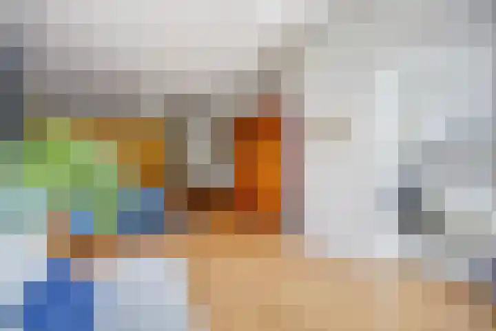 Van Boetzelaerlaan 55 Den Haag thumbnail 45
