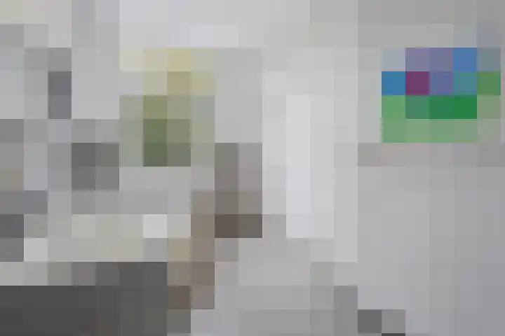 Van Boetzelaerlaan 55 Den Haag thumbnail 49