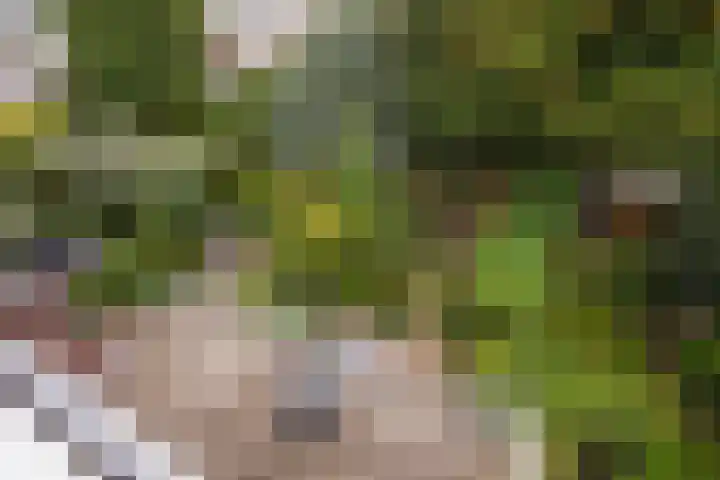 Van Boetzelaerlaan 55 Den Haag thumbnail 64