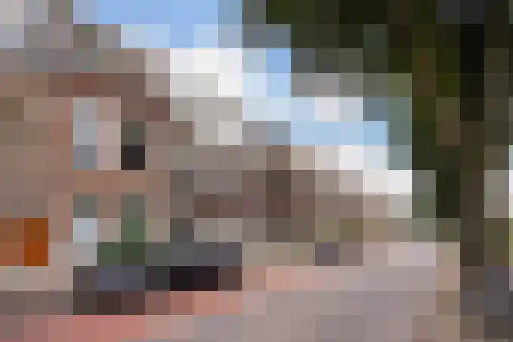 Van Boetzelaerlaan 55 Den Haag thumbnail 83