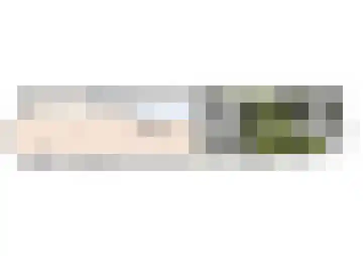 Van Boetzelaerlaan 55 Den Haag thumbnail 85