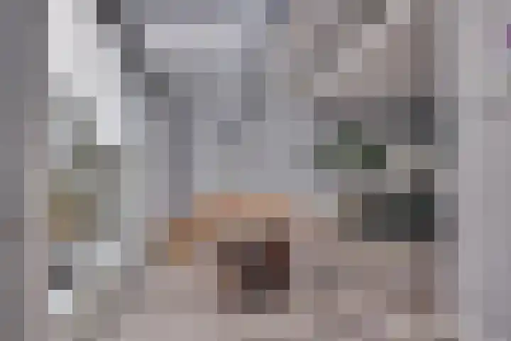 Van Boetzelaerlaan 6 Leusden thumbnail 10