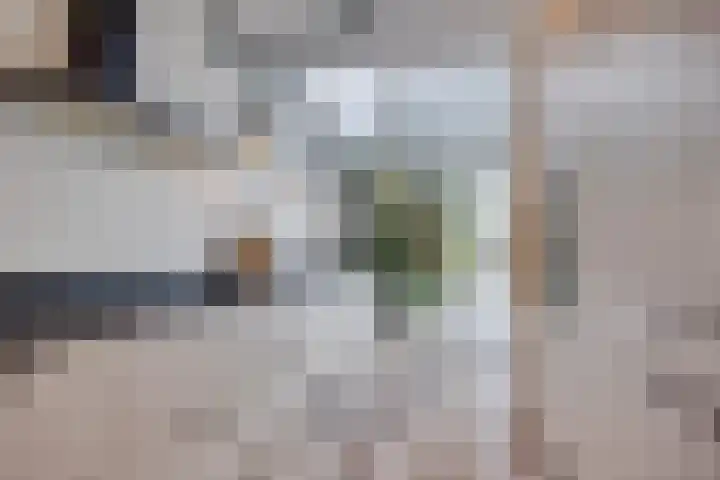 Van Boetzelaerlaan 6 Leusden thumbnail 12