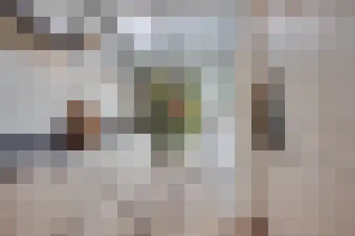 Van Boetzelaerlaan 6 Leusden thumbnail 13