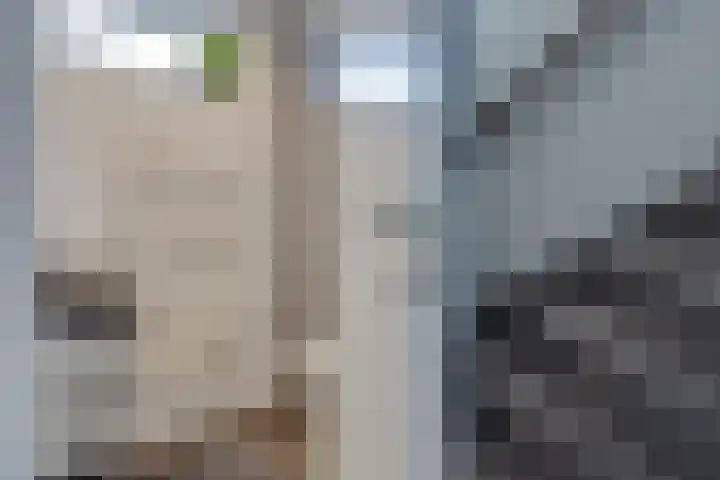 Van Boetzelaerlaan 6 Leusden thumbnail 21
