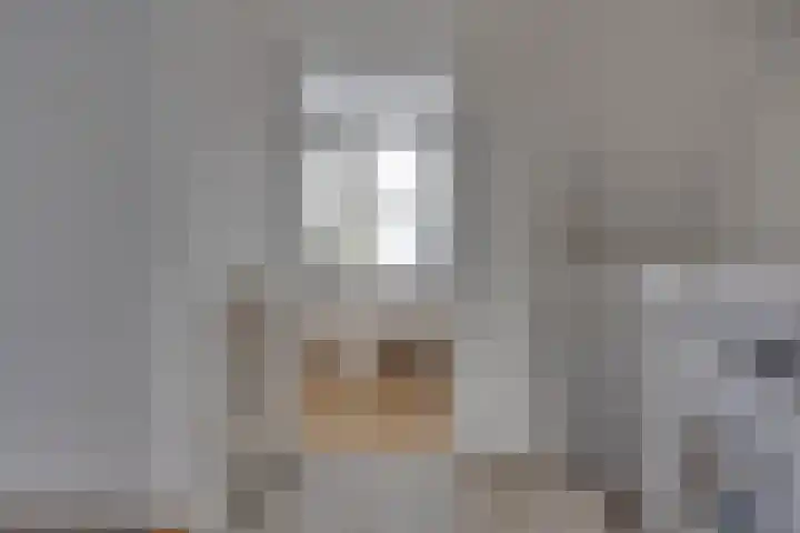 Van Boetzelaerlaan 6 Leusden thumbnail 24