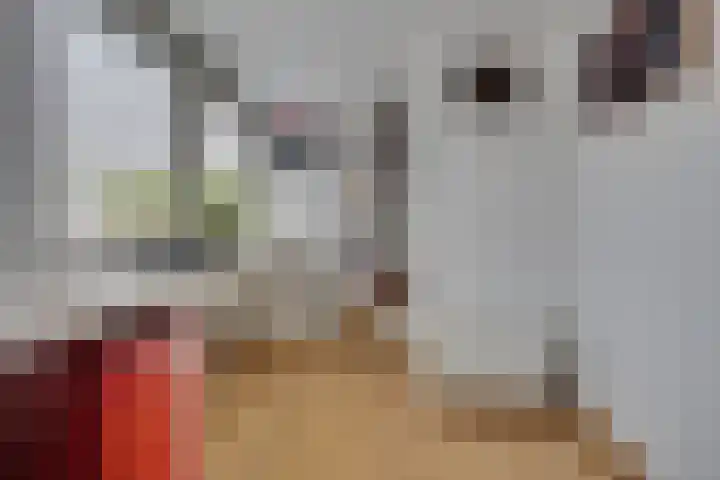 Van Boetzelaerlaan 6 Leusden thumbnail 26