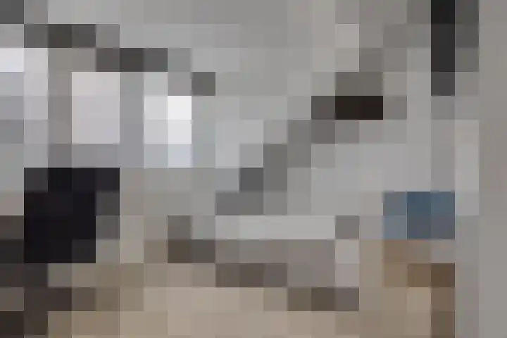 Van Boetzelaerlaan 6 Leusden thumbnail 27