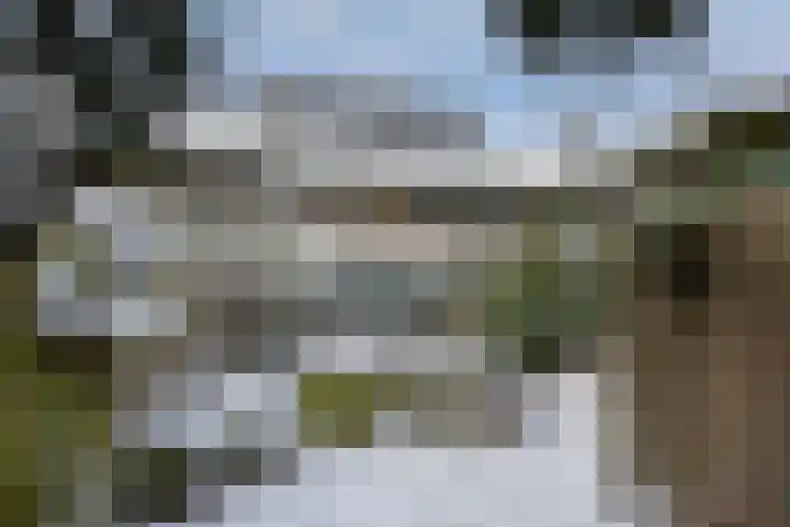 Van Boetzelaerlaan 6 Leusden thumbnail 28