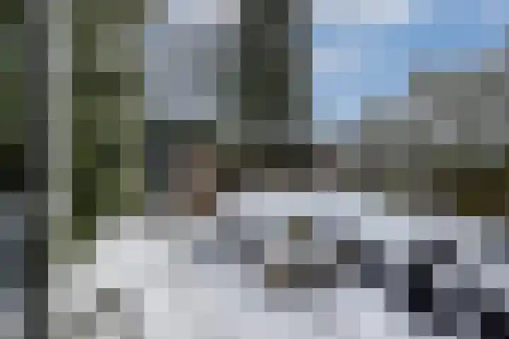 Van Boetzelaerlaan 6 Leusden thumbnail 29
