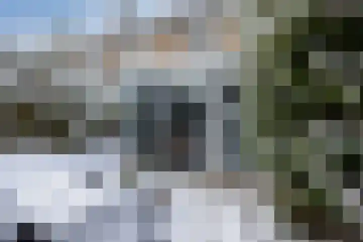 Van Boetzelaerlaan 6 Leusden thumbnail 30