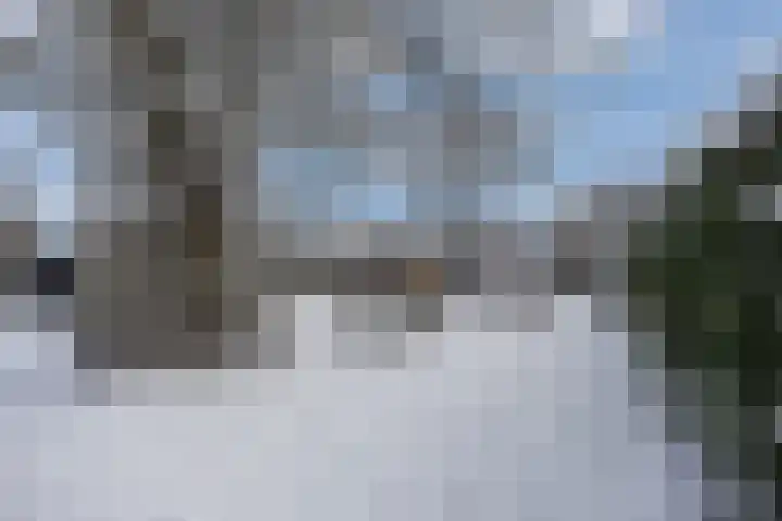 Van Boetzelaerlaan 6 Leusden thumbnail 32