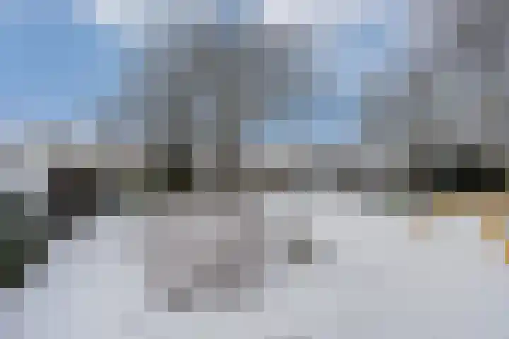 Van Boetzelaerlaan 6 Leusden thumbnail 33