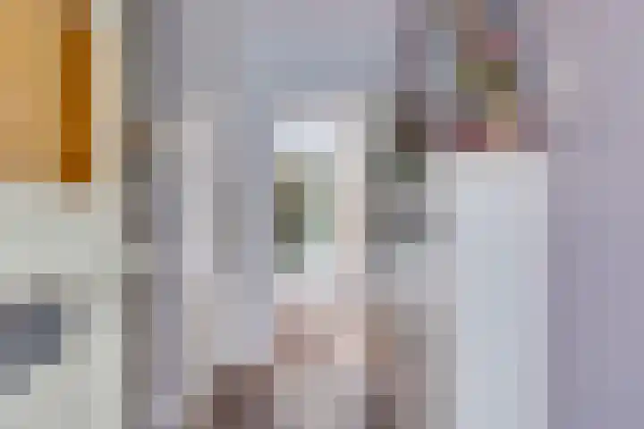Van Boetzelaerlaan 6 Leusden thumbnail 35