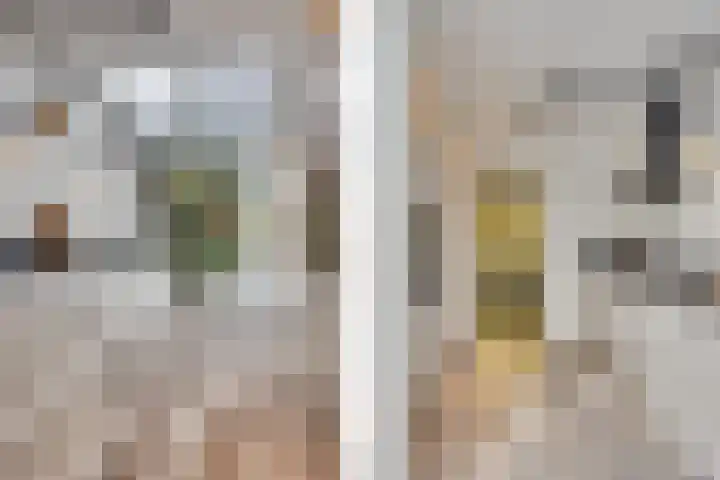 Van Boetzelaerlaan 6 Leusden thumbnail 36