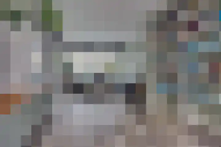 Van Boetzelaerlaan 6 Leusden thumbnail 4