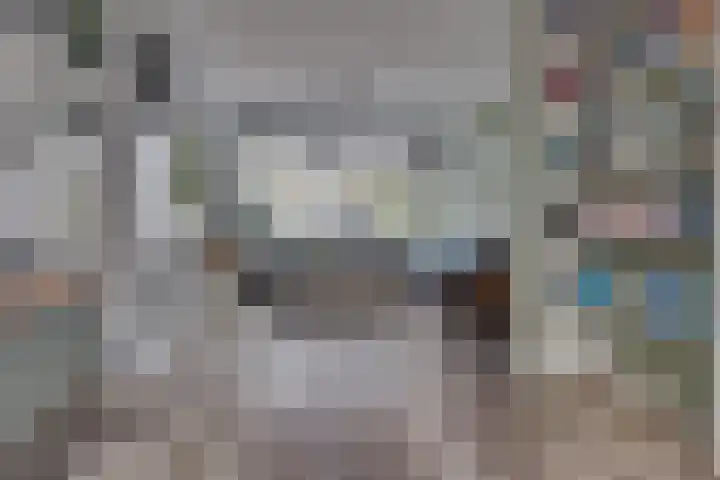 Van Boetzelaerlaan 6 Leusden thumbnail 5