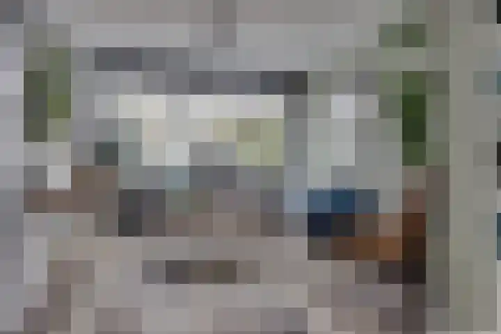 Van Boetzelaerlaan 6 Leusden thumbnail 6
