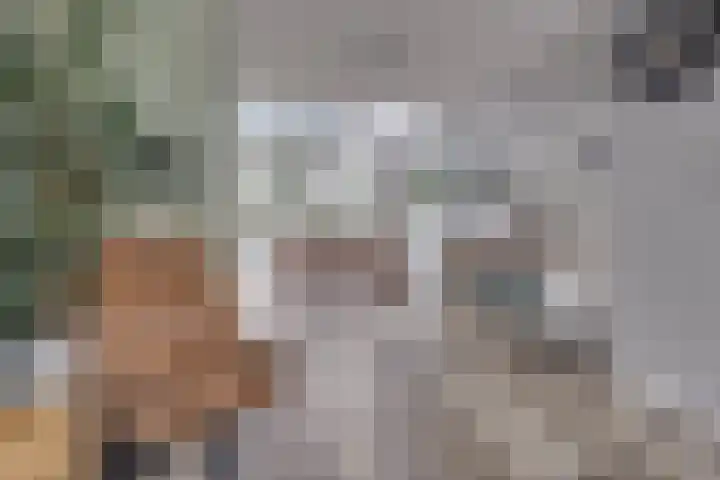 Van Boetzelaerlaan 6 Leusden thumbnail 7