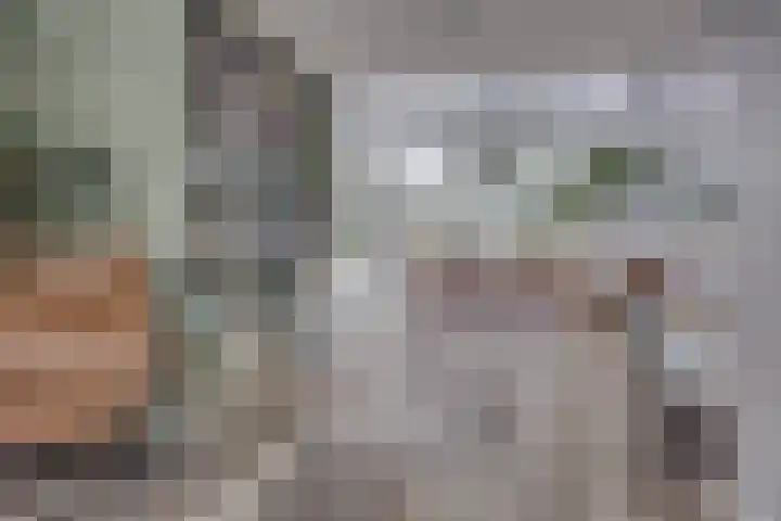Van Boetzelaerlaan 6 Leusden thumbnail 8