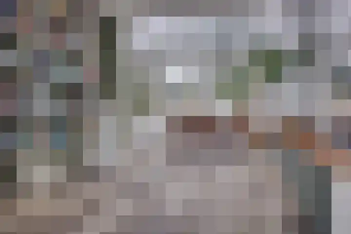 Van Boetzelaerlaan 6 Leusden thumbnail 9