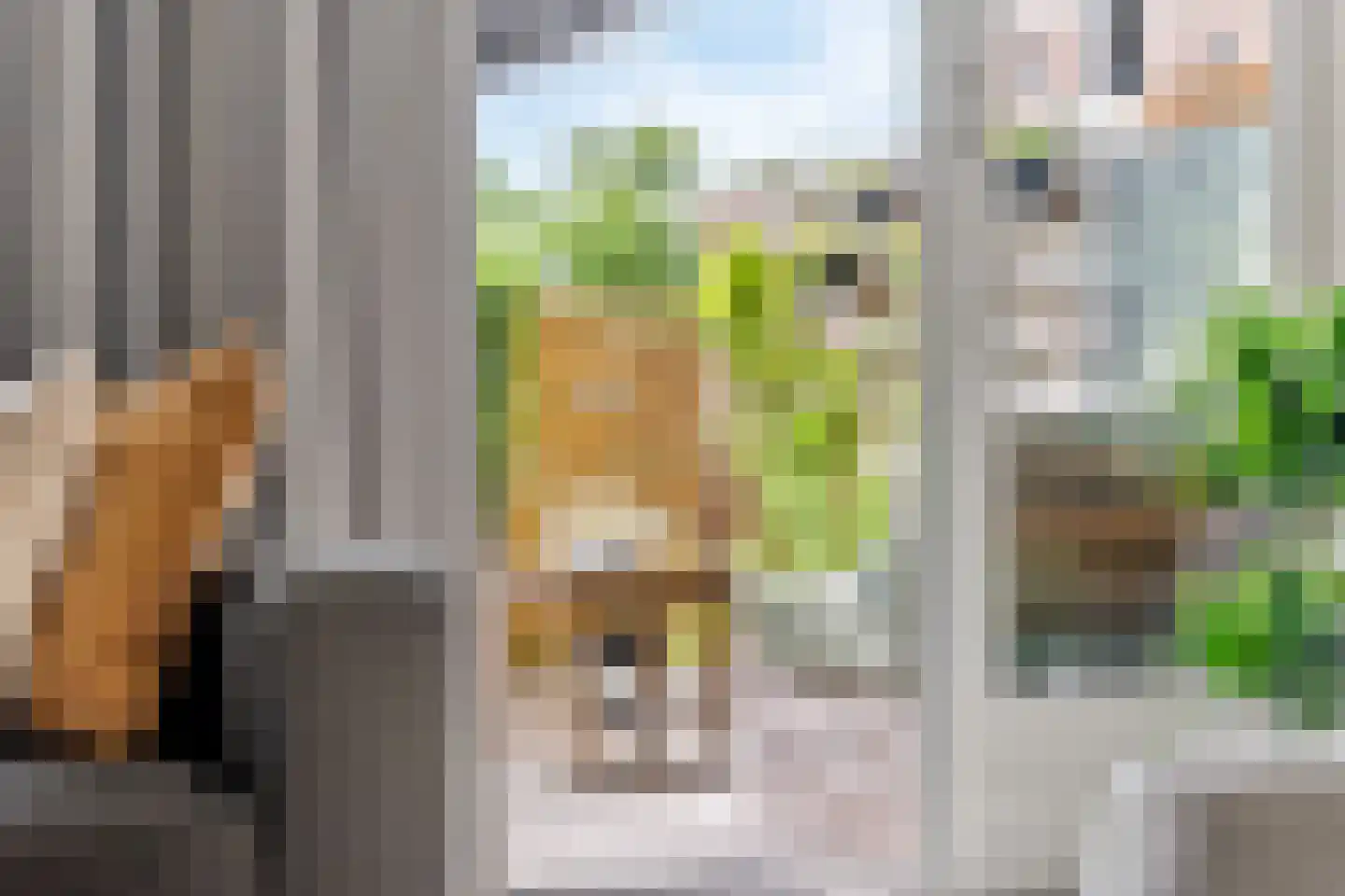 Van Boetzelaerlaan 64 Hoogland thumbnail 10