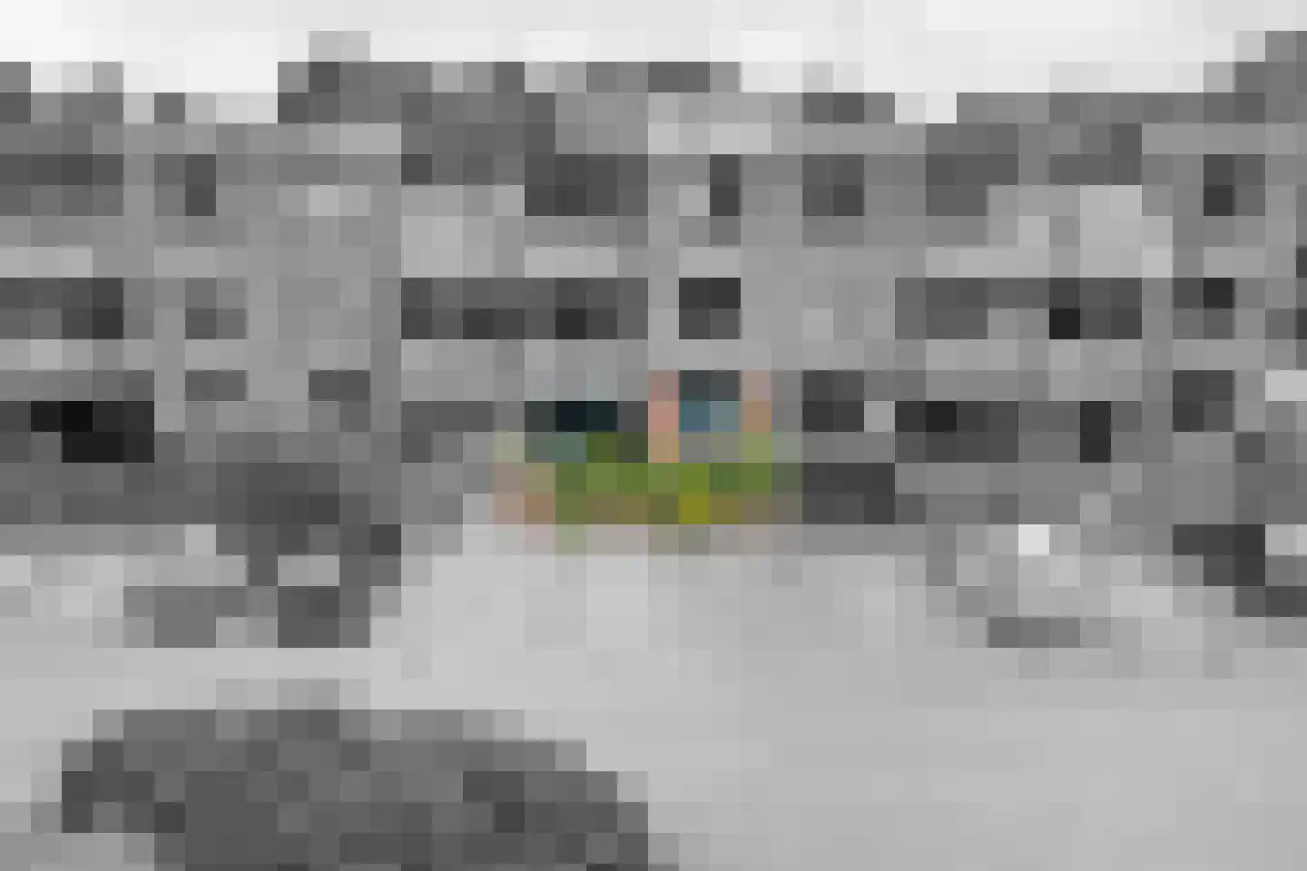 Van Boetzelaerlaan 64 Hoogland thumbnail 30