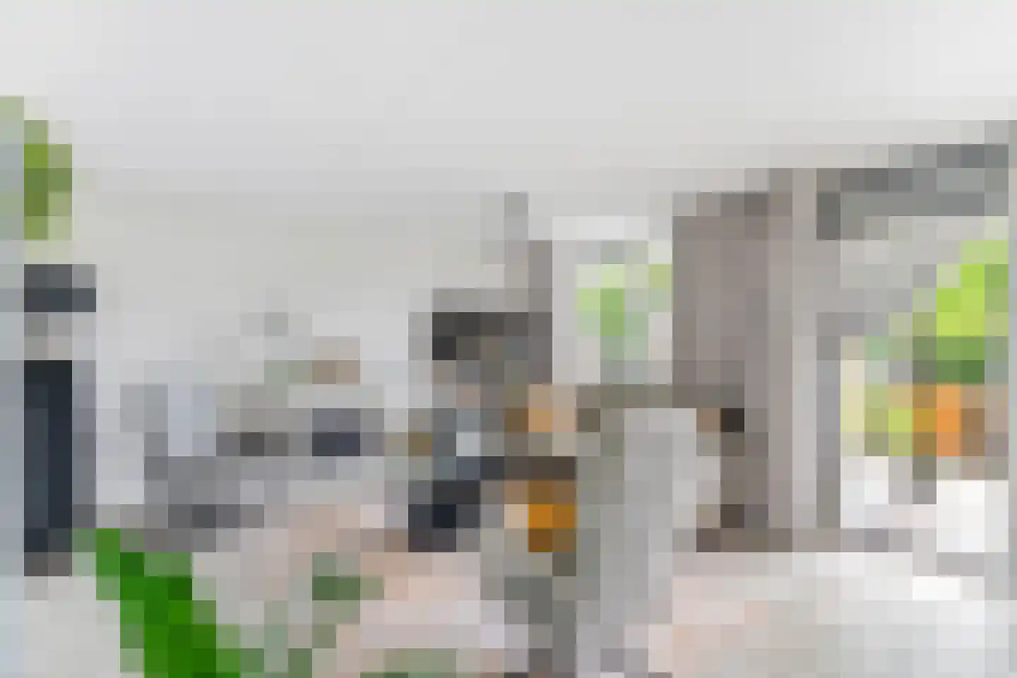 Van Boetzelaerlaan 64 Hoogland thumbnail 8