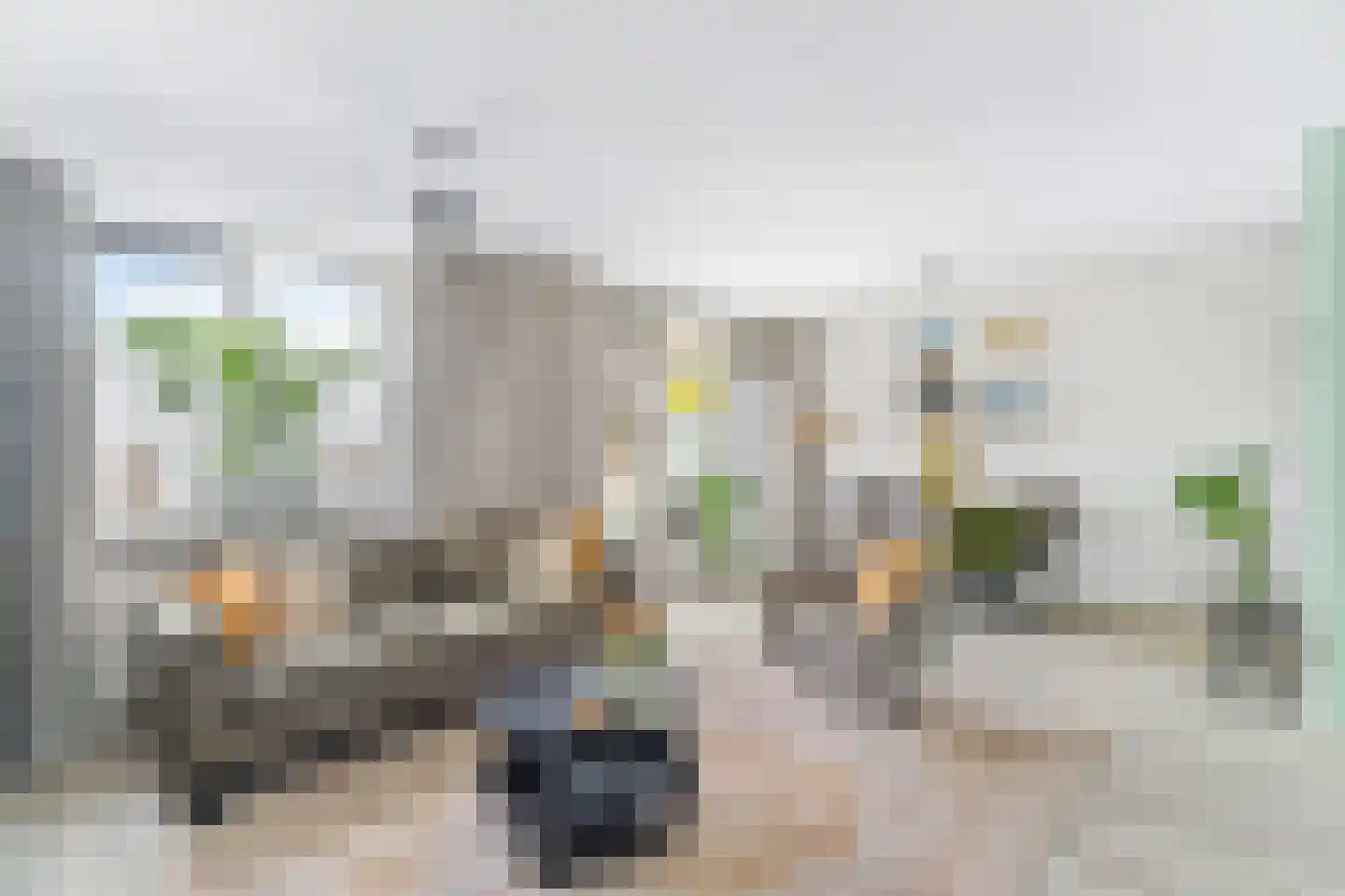 Van Boetzelaerlaan 64 Hoogland thumbnail 9