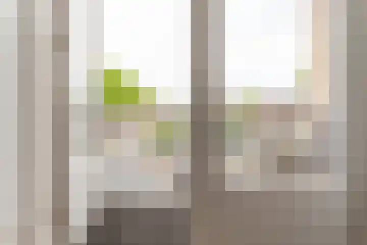 Van Boetzelaerlaan 67 A Den Haag thumbnail 17