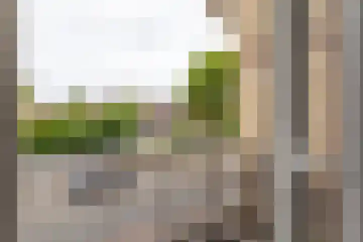 Van Boetzelaerlaan 67 A Den Haag thumbnail 19