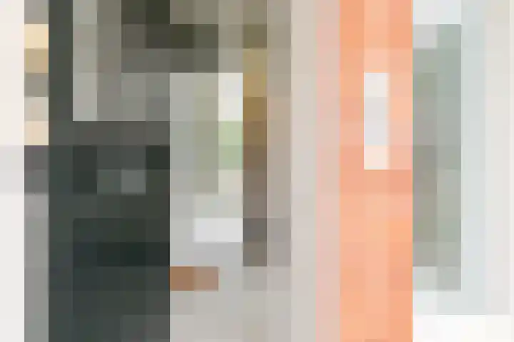 Van Boetzelaerlaan 67 A Den Haag thumbnail 30