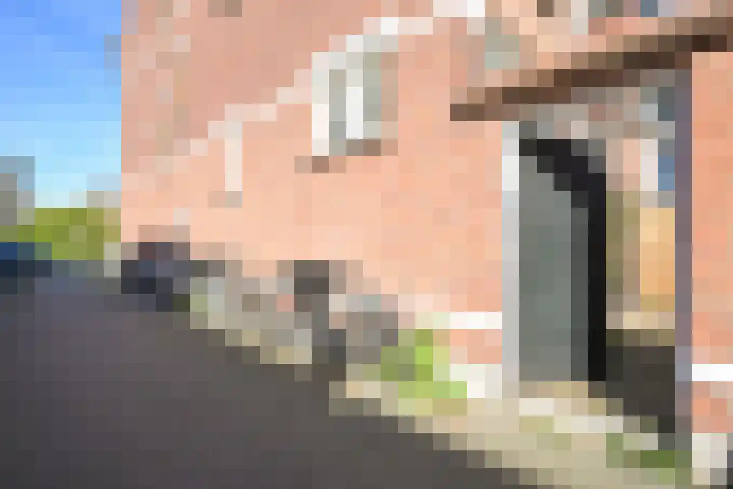 Van Boetzelaerlaan 67 Den Haag thumbnail 28
