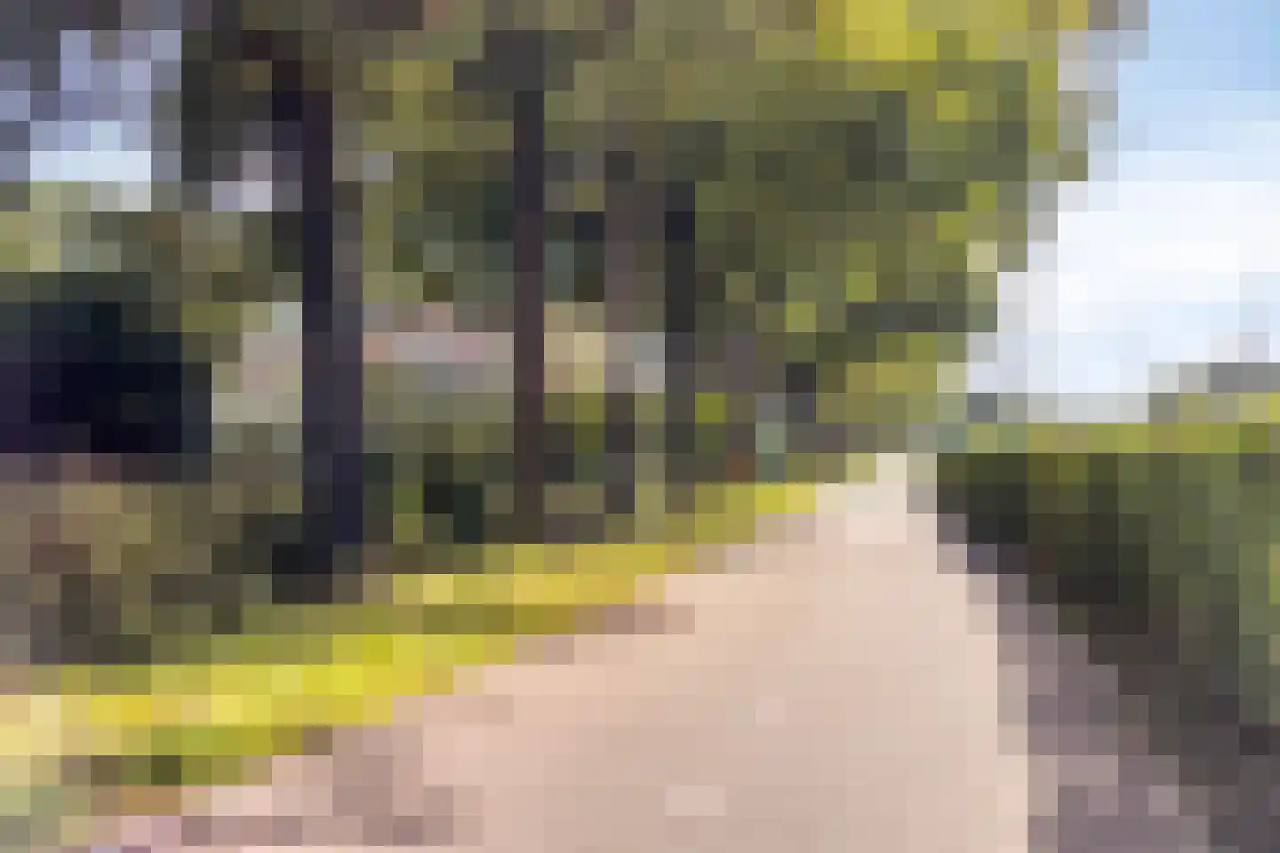 Van Boetzelaerlaan 76 Hoogland thumbnail 31