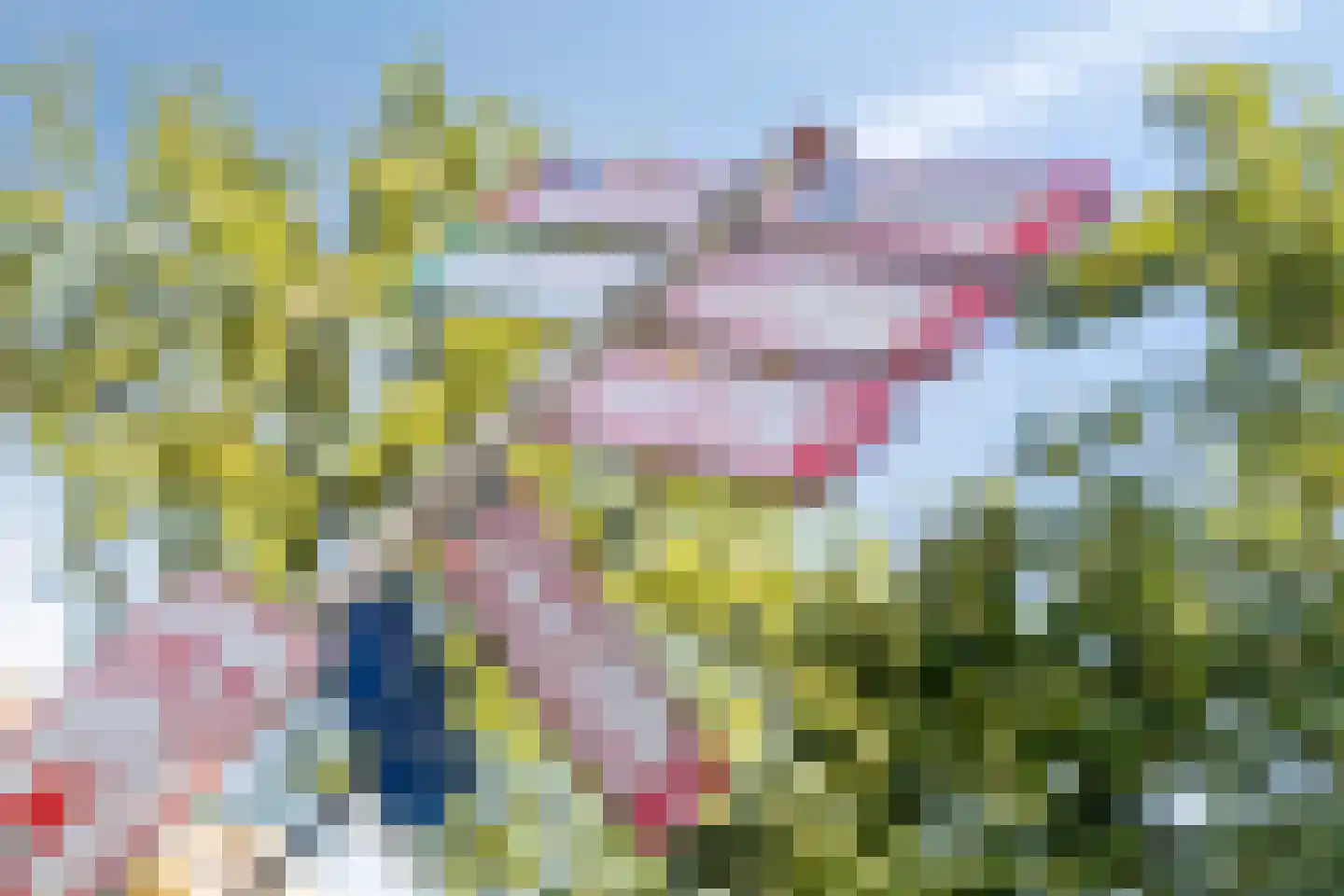 Van Boetzelaerlaan 76 Hoogland thumbnail 32