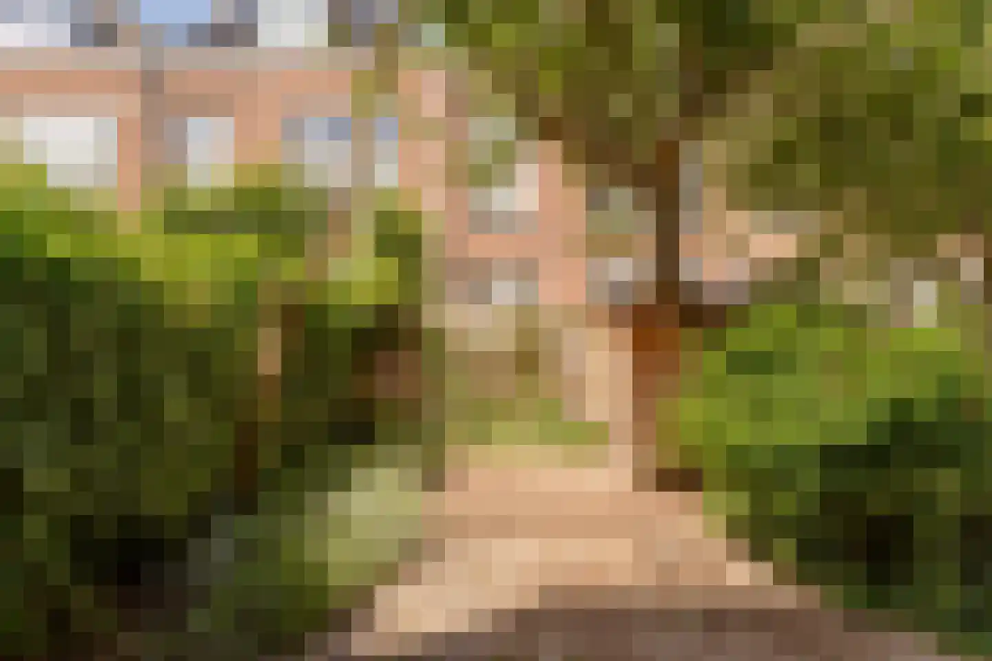 Van Boetzelaerlaan 92 Den Haag thumbnail 14