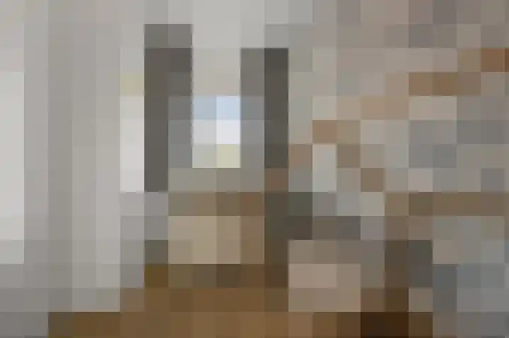 Van Boetzelaerstraat 13 Alphen aan den Rijn thumbnail 13