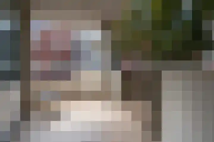 Van Boetzelaerstraat 13 Alphen aan den Rijn thumbnail 18