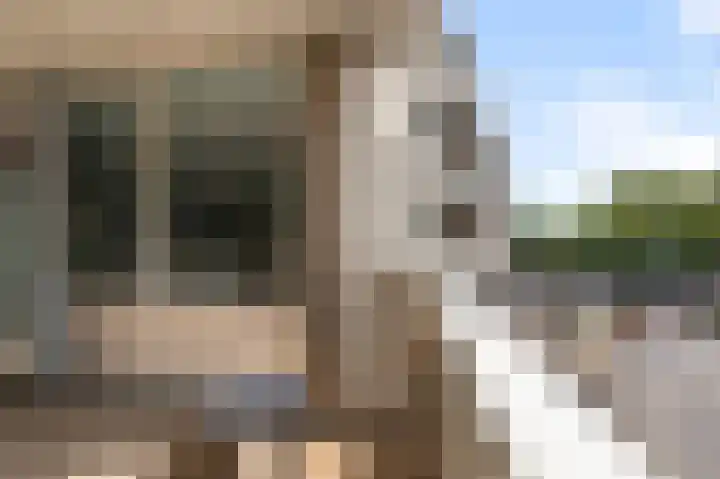 Van Boetzelaerstraat 13 Alphen aan den Rijn thumbnail 19