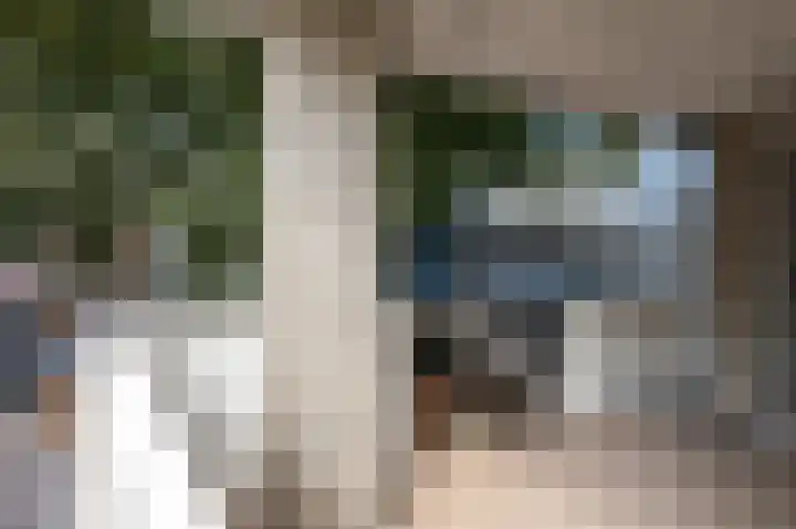 Van Boetzelaerstraat 13 Alphen aan den Rijn thumbnail 20