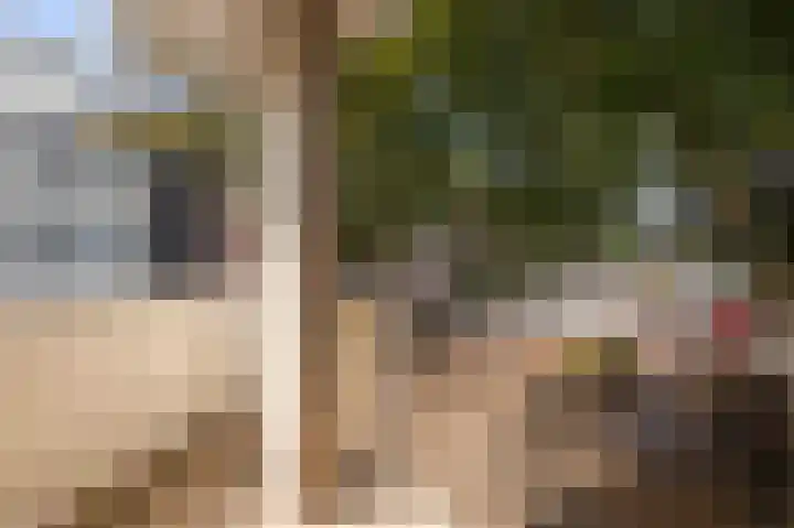 Van Boetzelaerstraat 13 Alphen aan den Rijn thumbnail 5
