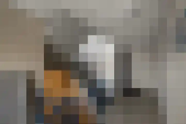 Van Boetzelaerstraat 13 Alphen aan den Rijn thumbnail 6