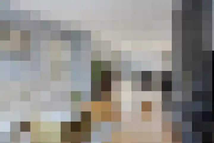 Van Boetzelaerstraat 134 Alphen aan den Rijn thumbnail 10