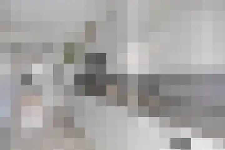 Van Boetzelaerstraat 134 Alphen aan den Rijn thumbnail 17